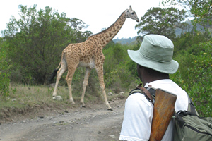 Südafrika FGreater Krüger Park Safari