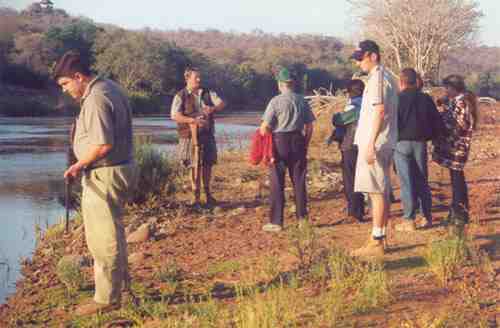 Wildtier-Pirsch zu Fuß nahe Kruger Nationalpark in Südafrika Wildtier-Pirsch zu Fuß nahe Kruger Nationalpark in Südafrika