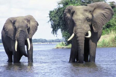 Botswana Urlaub als geführte Gruppenreise mit Zelt oder Bungalow Unterkunft
