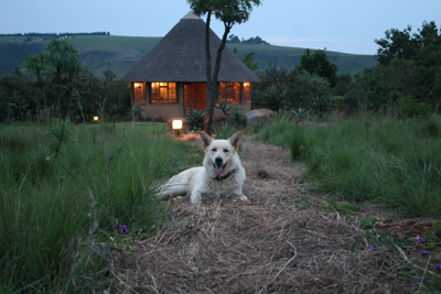 Budget Lodge für Wander Safari: Inkosana Lodge in Südafrika