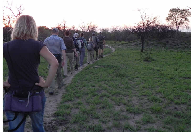 Wildtier Safari zu Fuß: Kruger Nationalpark in Südafrika