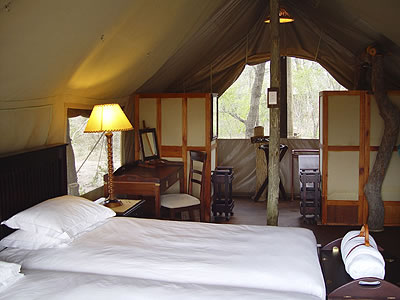 Luxus Zelt Camp in Südafrika: Plains Camp am Kruger National Park