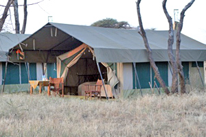 Komfortables Zelt Camp in der Serengeti Afrikas