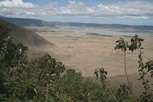 Tansania Safari mit Ngorongoro Krater