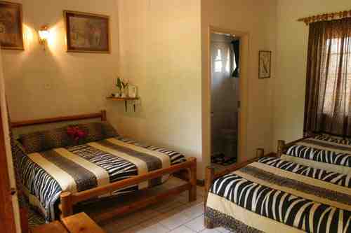 Widltier Safari in Südafrika mit Lodge Unterkunft Widltier Safari in Südafrika mit Lodge Unterkunft