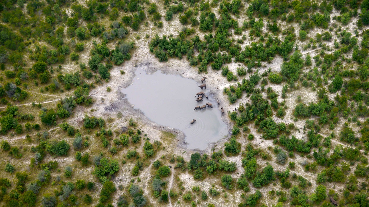 Afrika von oben - Elefanten am Wasserloch in Botswana