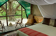 Luxus Lodge Safari in Südafrika: Komfort und Afrika Naturerlebnis
