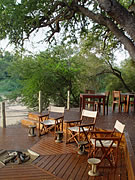 Luxus und Wildlife im Greater Kruger National Park: Rhino Post Safari Lodge, Südafrika