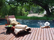 Wildlife Pirsch und Luxus mit Swimming Pool: Rhino Post Safari Lodge, Südafrika