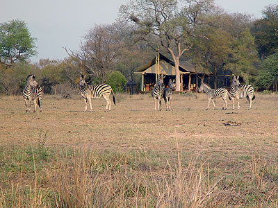 Luxus Zelt Camp im Greater Kruger National Park, Südafrika