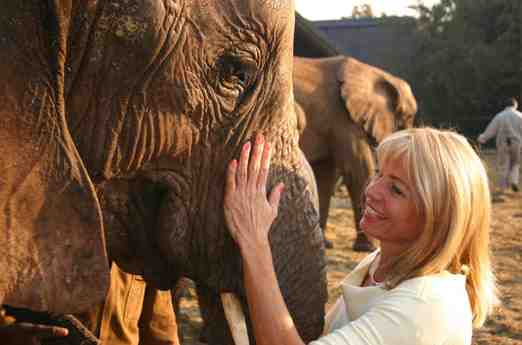 Tierarzt als Reiseführer: Safari in Südafrika zum Elefantenschutzzentrum