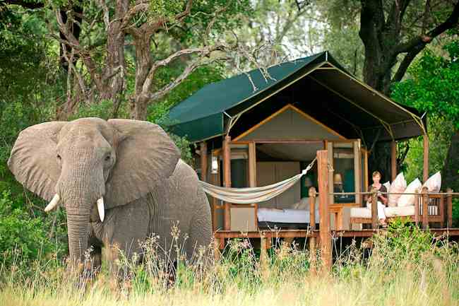 Erleben Sie Afrika luxuriös wie hier im Chobe Nationalpark von Botswana