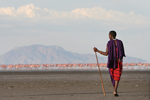 Tansanias Masai - zu erleben auf Safari in Afrika