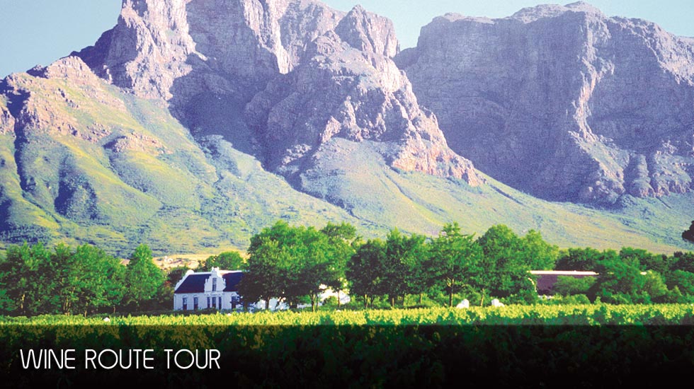 Südafrikas Weingüter - Tagestour ab Kapstadt